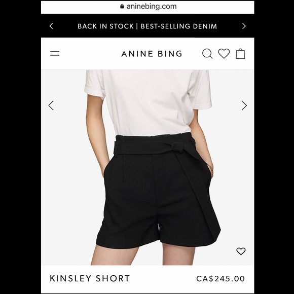 ANINE BING Kinsley Shorts BNWT/BNIB (size 2) - Picture 5 of 9